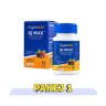 Pakej 1IQMax